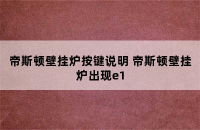 帝斯顿壁挂炉按键说明 帝斯顿壁挂炉出现e1